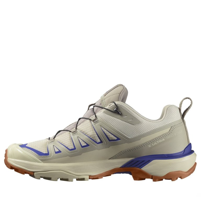 Взуття Salomon X Ultra 360 Edge M - коричневий/фіолетовий