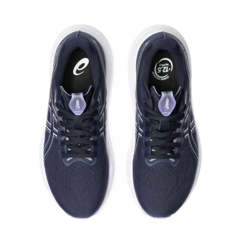 Кросівки Asics GT-2000 14 W - сині