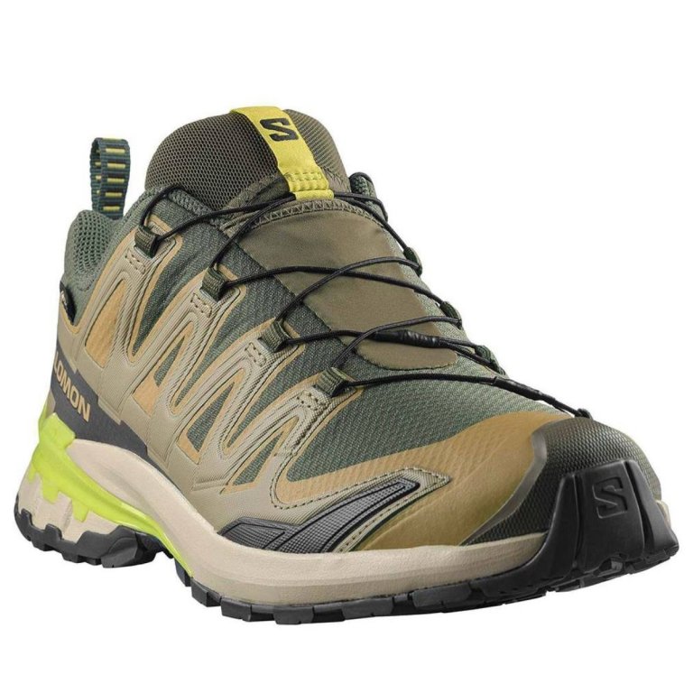 Salomon Xa Pro 3D V9 GTX M - коричнева/зелена/жовта