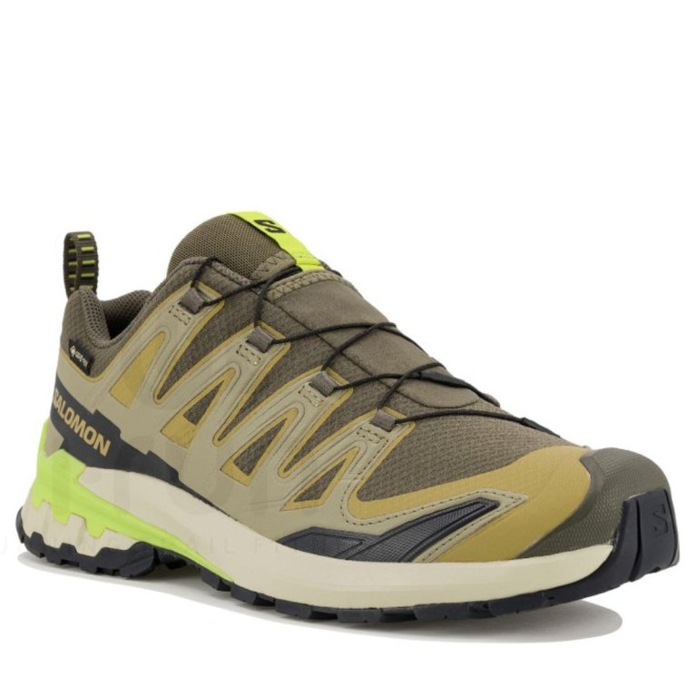 Salomon Xa Pro 3D V9 GTX M - коричнева/зелена/жовта