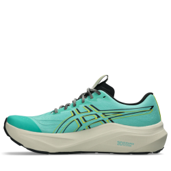 Кросівки Asics GT-2000 14 TR M - зелені