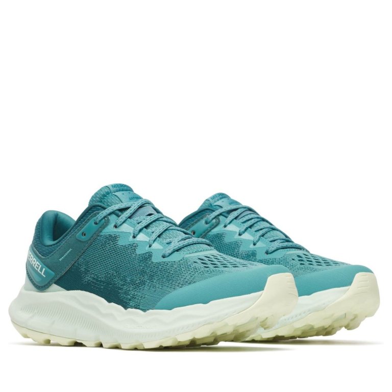 Кросівки Merrell Antora 4 W - сині