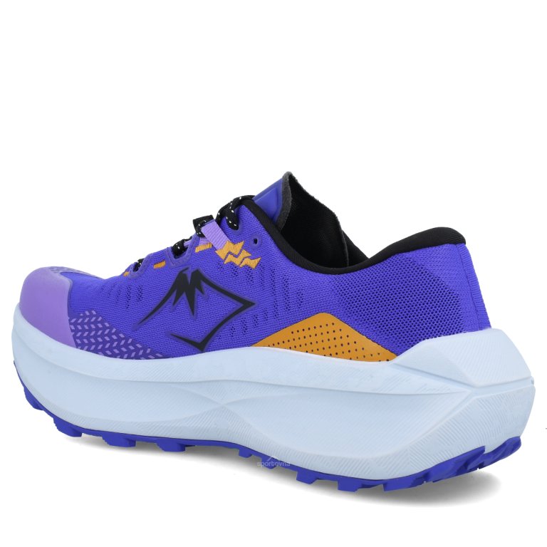 Кросівки Asics Trabuco Max 5 M - сині