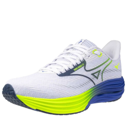 Кросівки Mizuno Wave Rider 29 M - синя