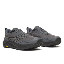 Взуття Saucony Peregrine 16 M — сіре