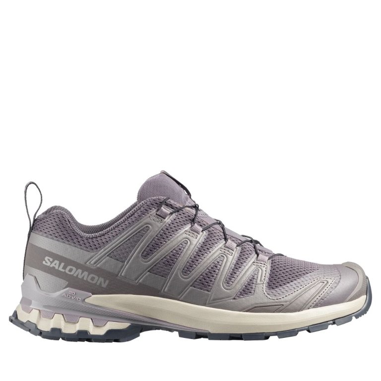 Salomon XA Pro 3D V9 M - сірий