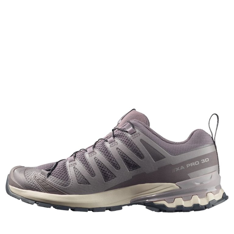 Salomon XA Pro 3D V9 M - сірий