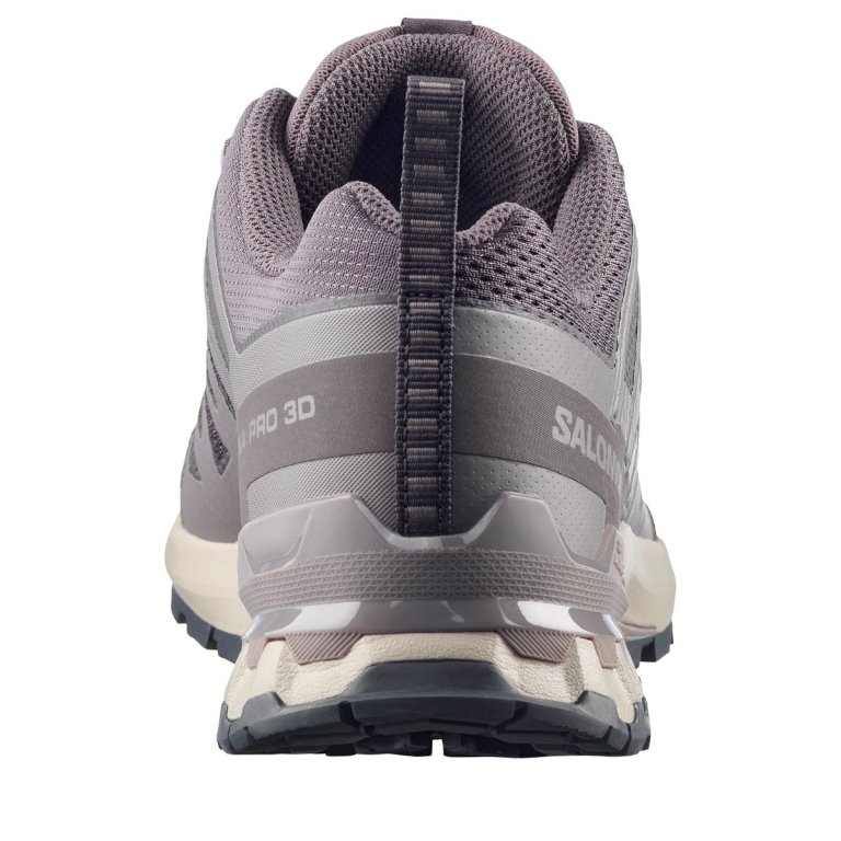 Salomon XA Pro 3D V9 M - сірий