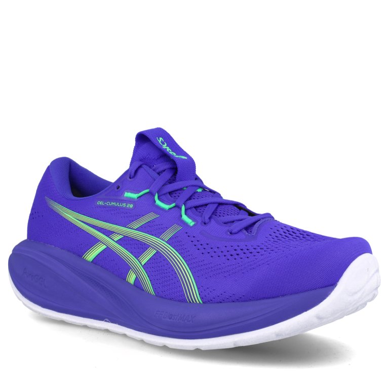 Кросівки Asics Gel-Cumulus 28 M - сині