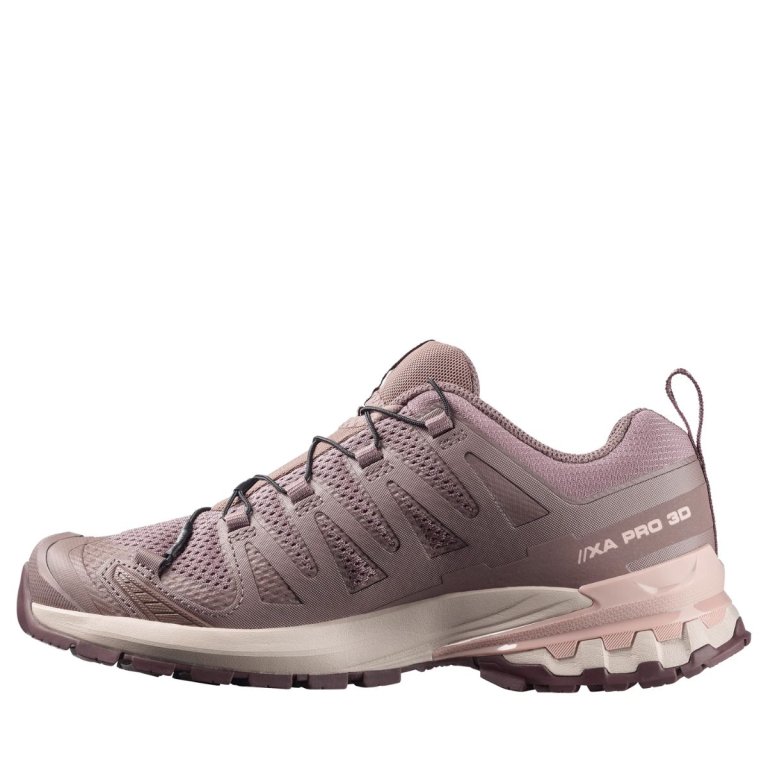 Salomon XA Pro 3D V9 W - коричнева