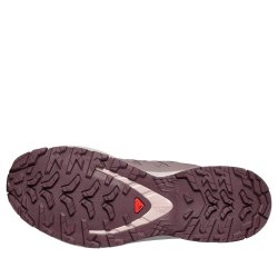 Salomon XA Pro 3D V9 W - коричнева