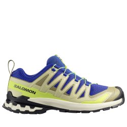Кросівки Salomon XA Pro 3D V9 M - сині