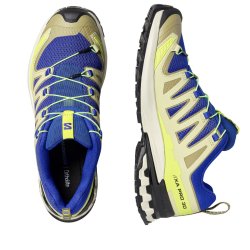 Кросівки Salomon XA Pro 3D V9 M - сині