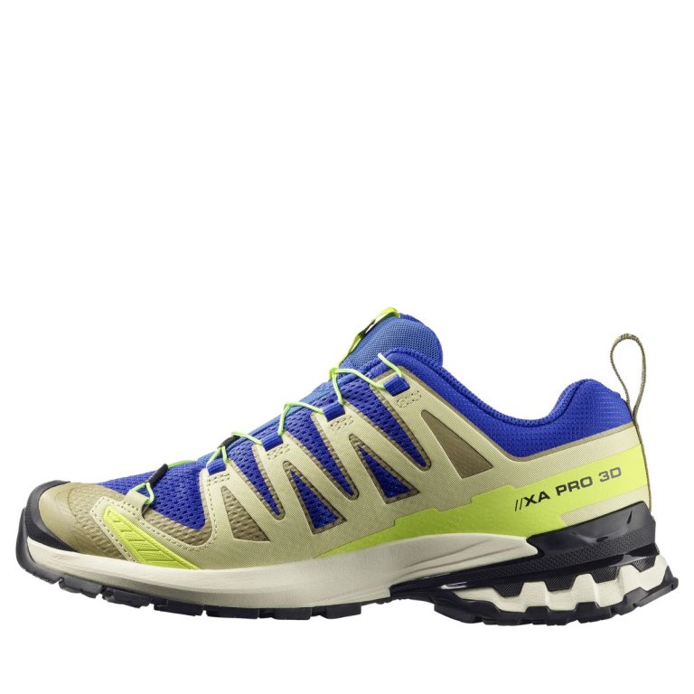 Кросівки Salomon XA Pro 3D V9 M - сині