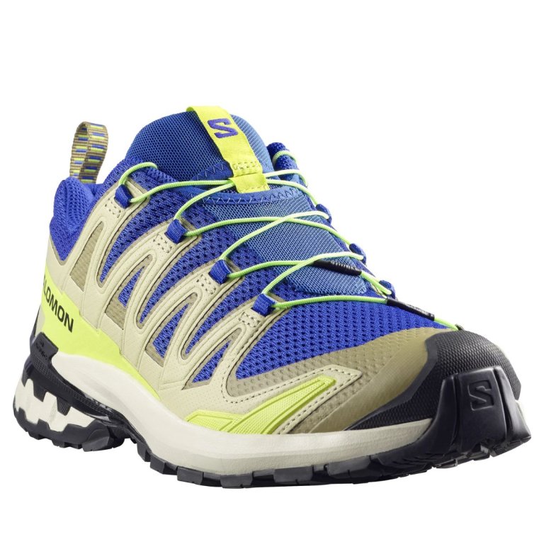 Кросівки Salomon XA Pro 3D V9 M - сині