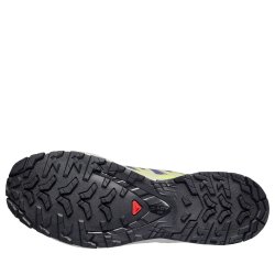 Кросівки Salomon XA Pro 3D V9 M - сині
