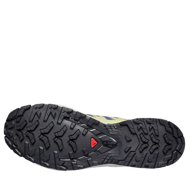 Кросівки Salomon XA Pro 3D V9 M - сині