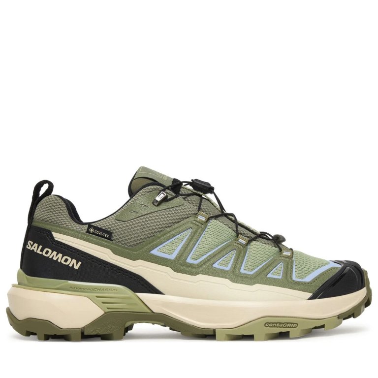 Взуття Salomon X Ultra 360 Edge GTX W - зелене