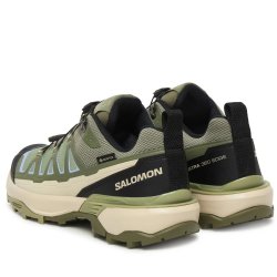 Взуття Salomon X Ultra 360 Edge GTX W - зелене