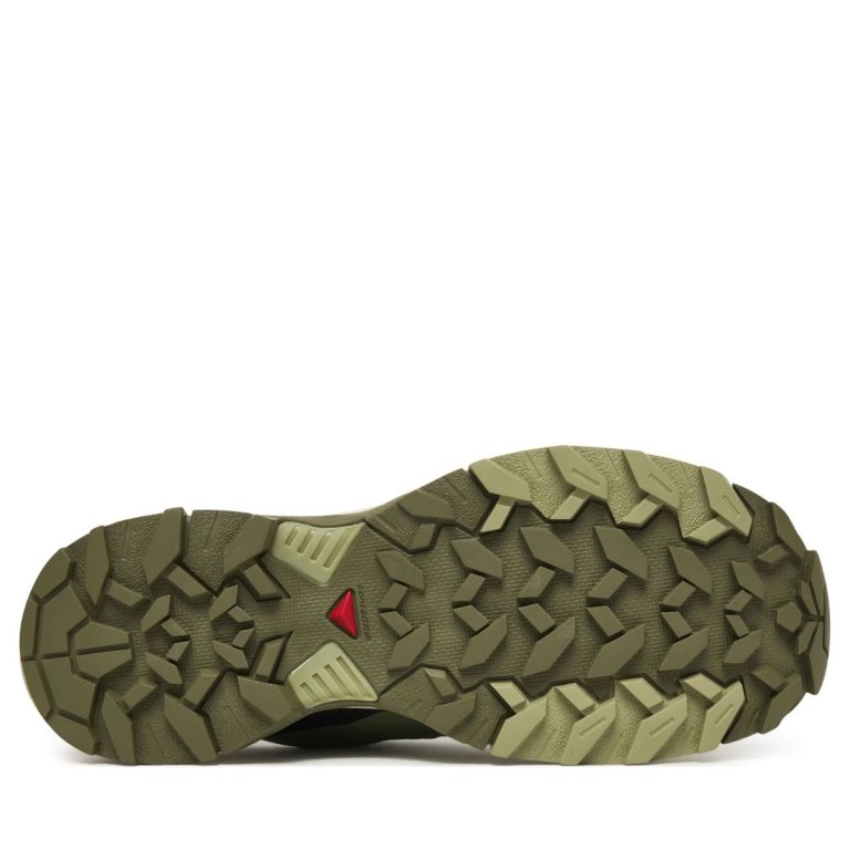 Взуття Salomon X Ultra 360 Edge GTX W - зелене
