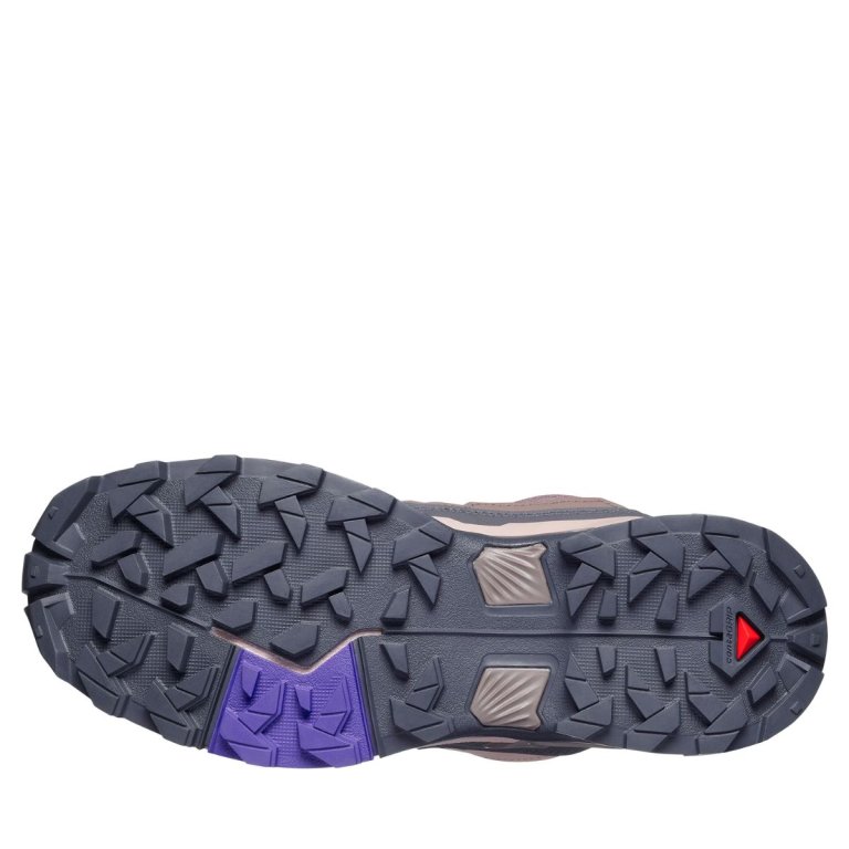 Взуття Salomon X Ultra 5 GTX W - рожеве
