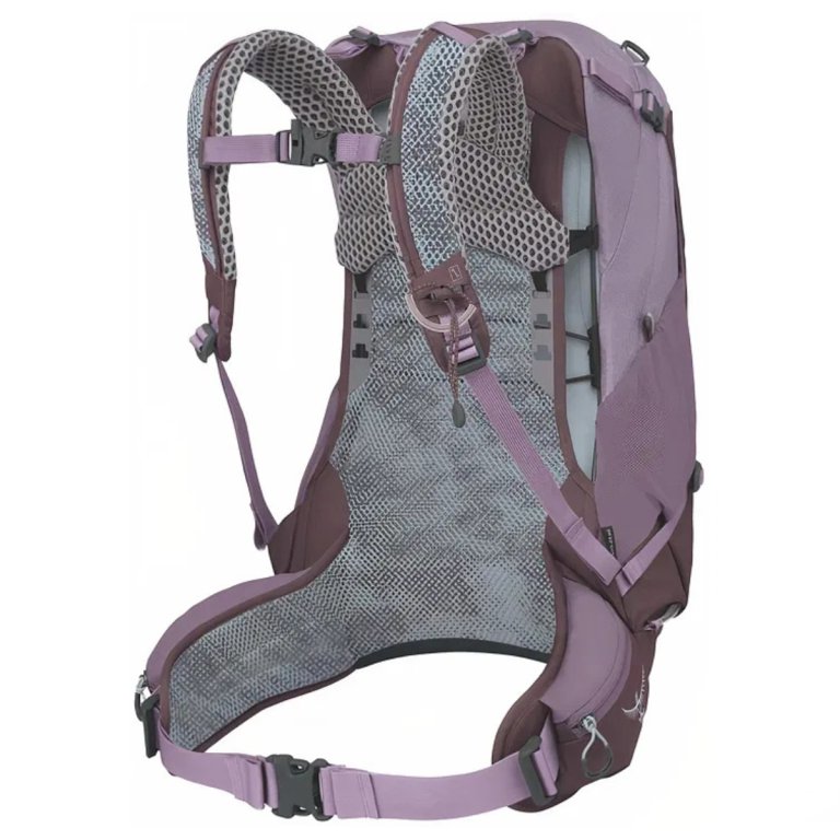 Рюкзак Osprey Sirrus 24 W - фіолетовий