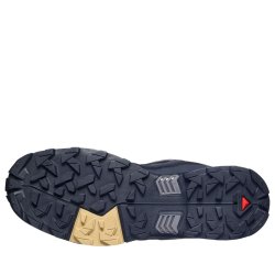 Взуття Salomon X Ultra 5 GTX M - синьо/фіолетові