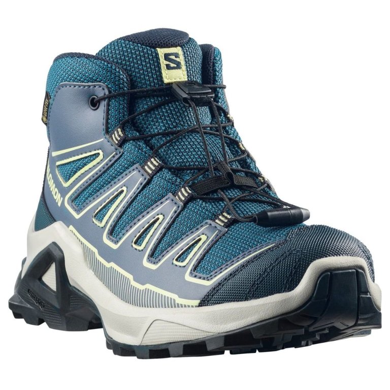 Кросівки Salomon X Ultra Mid GTX J - сині