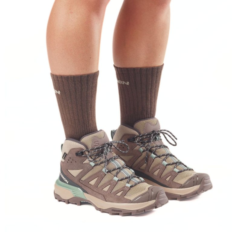 Черевики Salomon X Ultra 360 Leather Mid GTX W - коричневі