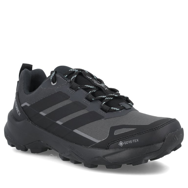 Взуття Adidas Terrex Skychaser AX5 GTX W - чорне