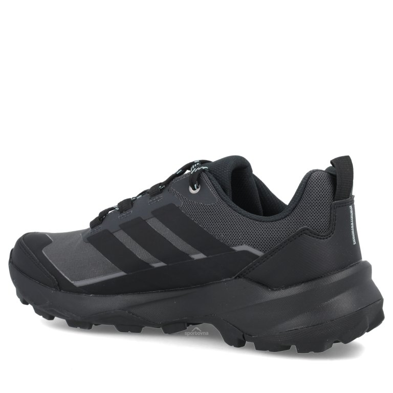Взуття Adidas Terrex Skychaser AX5 GTX W - чорне