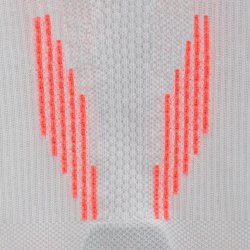 Шкарпетки / шкарпетки CEP 5.0 W - сірі