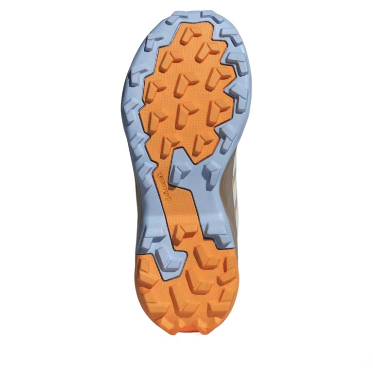 Взуття Adidas Terrex Skychaser AX5 W - бежево/помаранчево/синє