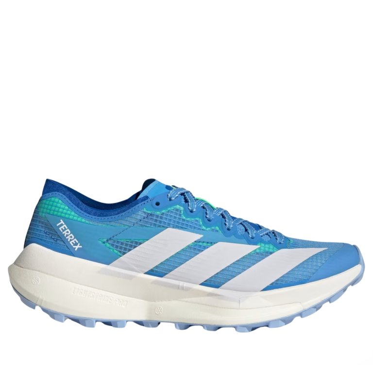 Кросівки Adidas Terrex Agravic Speed 2 W - блакитні