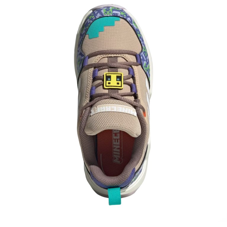 Взуття Adidas Terrex AX4 Minecraft J - бежево/синє