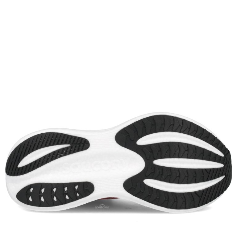 Взуття Saucony Triumph 23 W — рожева