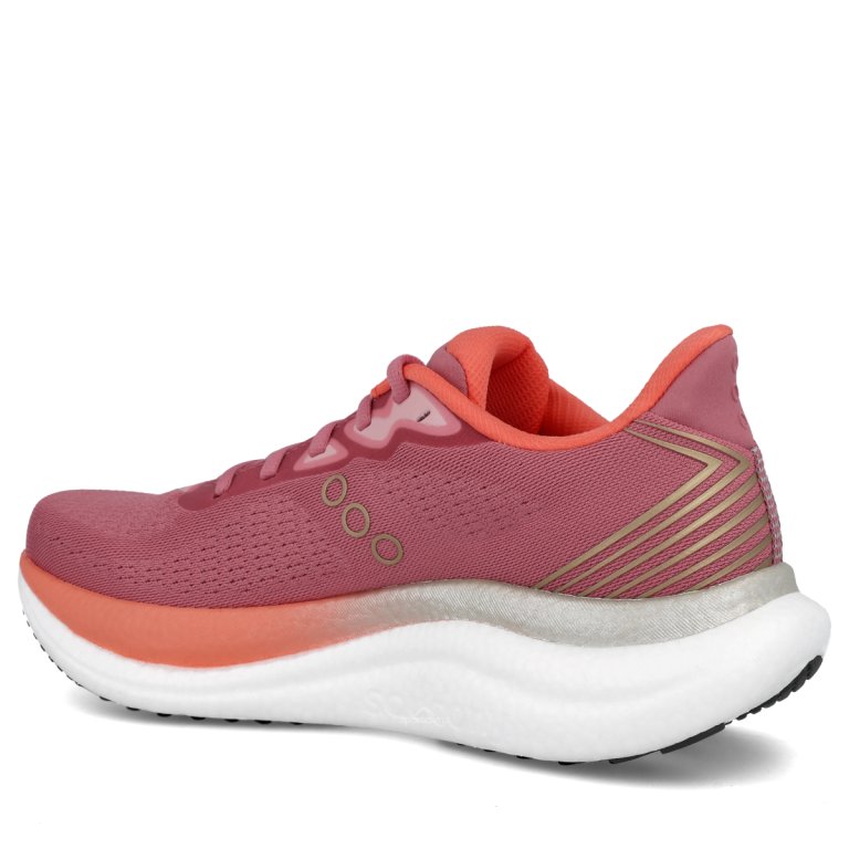 Взуття Saucony Triumph 23 W — рожева