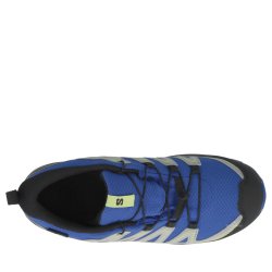 Взуття Salomon Xa Pro V8 WP J - сині/зелені