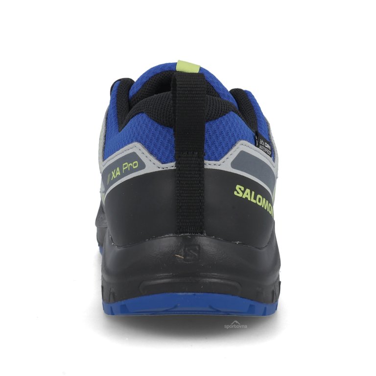 Взуття Salomon Xa Pro V8 WP J - сині/зелені