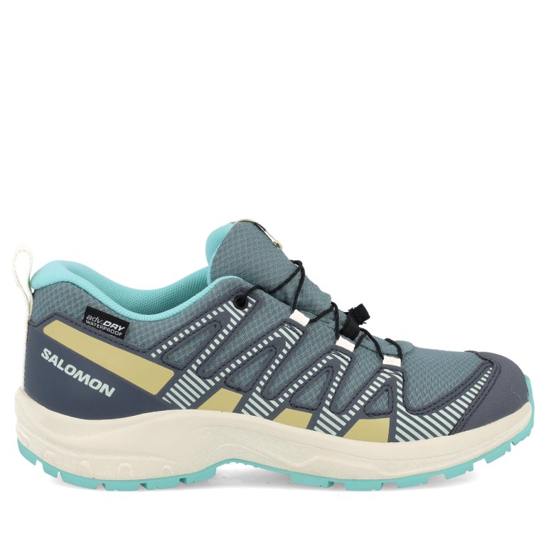 Взуття Salomon Xa Pro V8 WP J - сірий/зелений