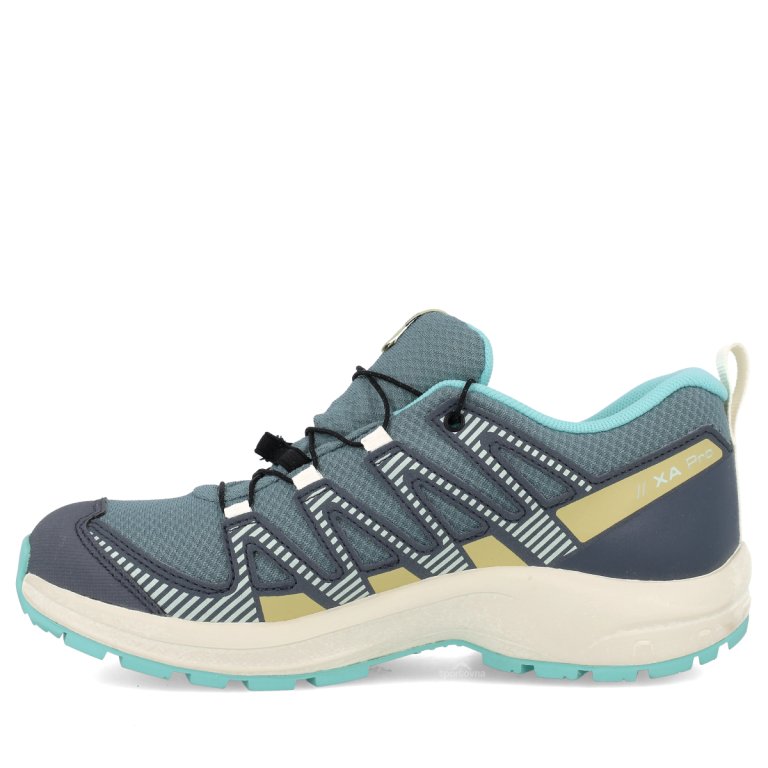 Взуття Salomon Xa Pro V8 WP J - сірий/зелений