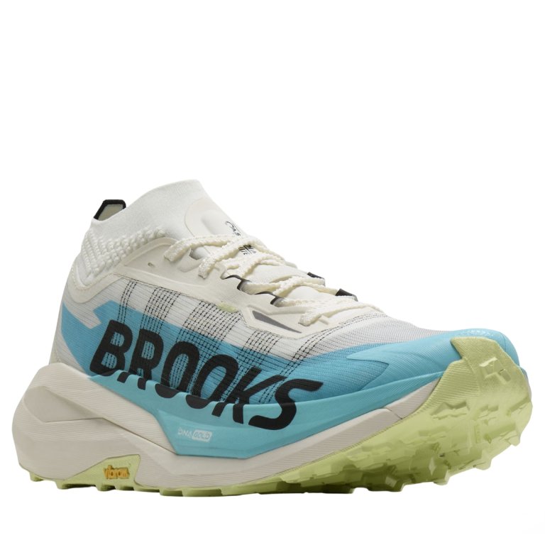 Кросівки Brooks Cascadia Elite M - сині