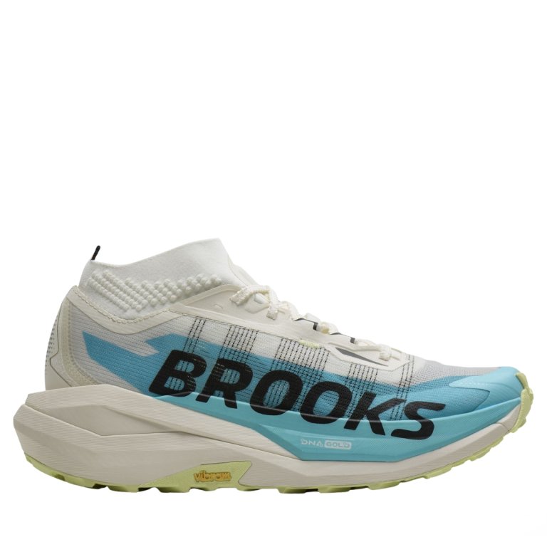 Кросівки Brooks Cascadia Elite M - сині