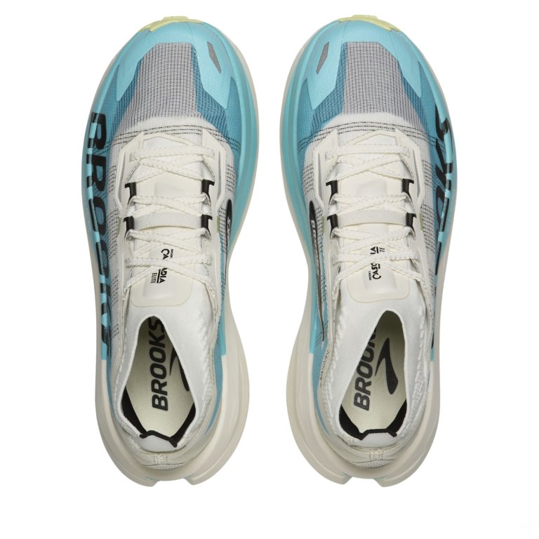 Кросівки Brooks Cascadia Elite M - сині