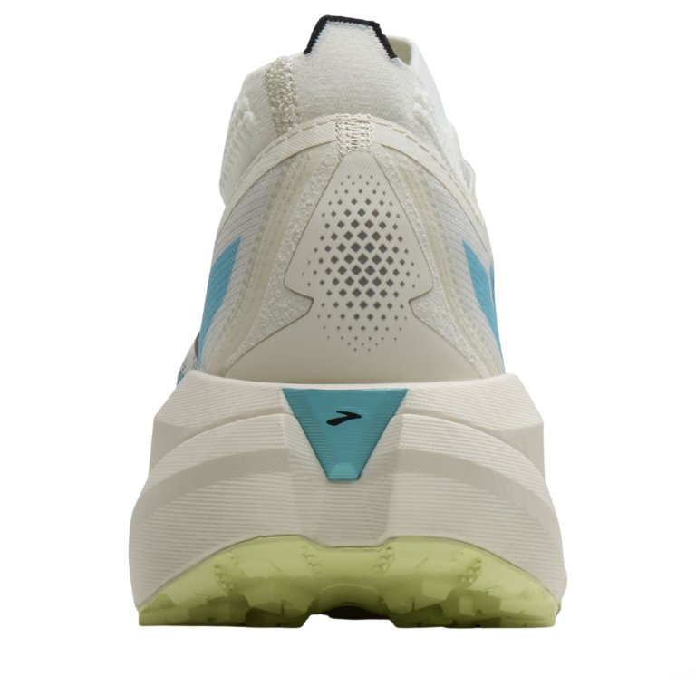 Кросівки Brooks Cascadia Elite M - сині