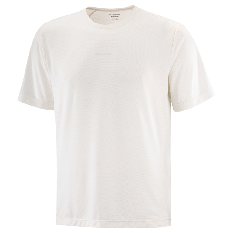Футболка Salomon SHKout Core SS Tee M - біла