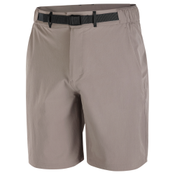Шорти Salomon Wayfarer 2.0 Shorts M - коричневі