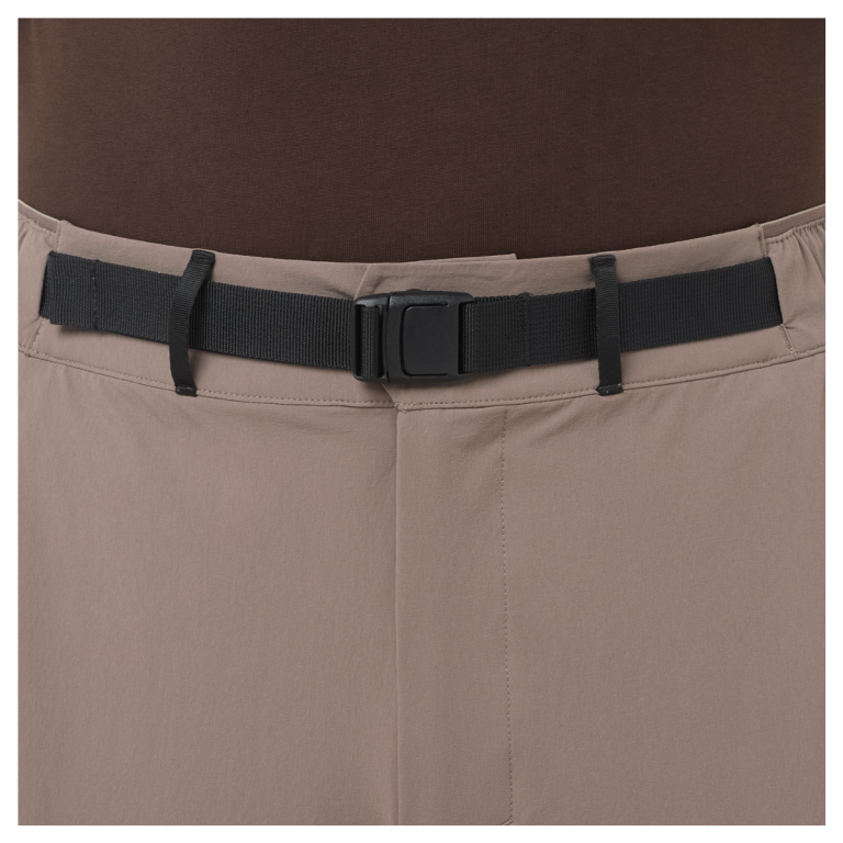 Шорти Salomon Wayfarer 2.0 Shorts M - коричневі
