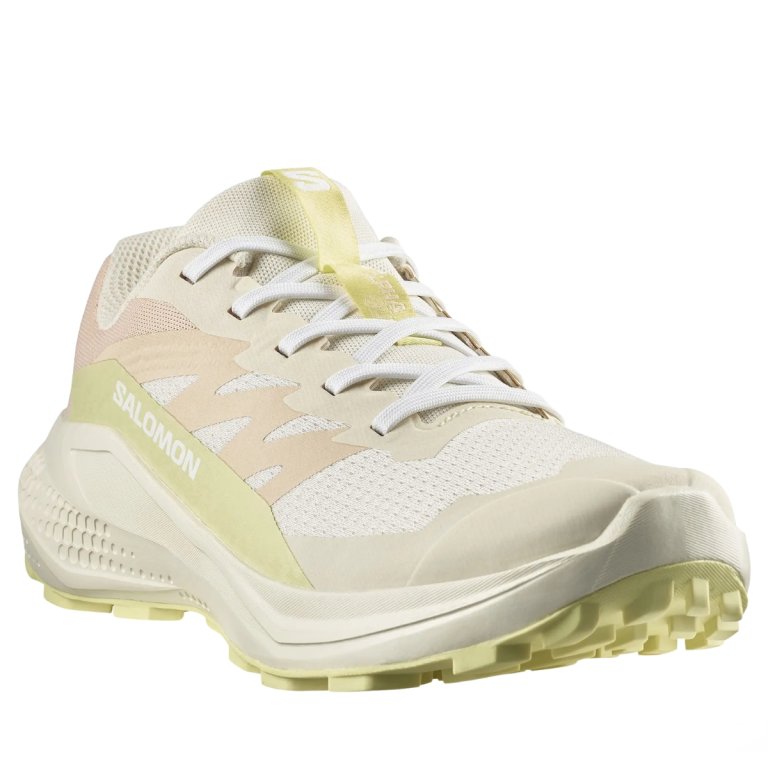 Кросівки Salomon Alphaglide W - бежеві