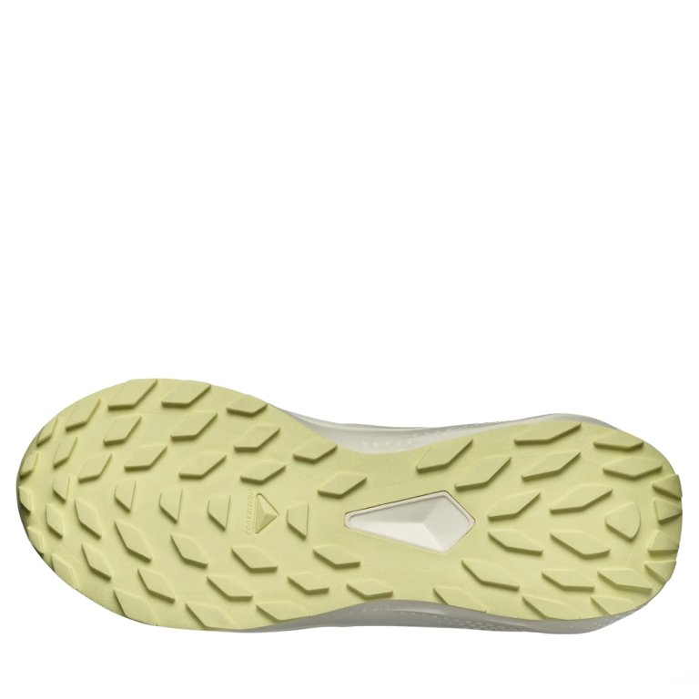 Кросівки Salomon Alphaglide W - бежеві